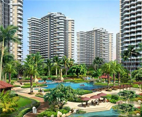 小鹿轻茶