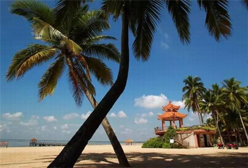 尖货串串