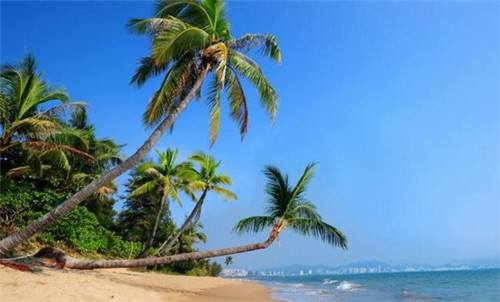 美容皂哪个品牌值得买