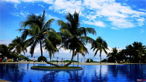 炸鸡女孩小吃车加盟会亏钱吗