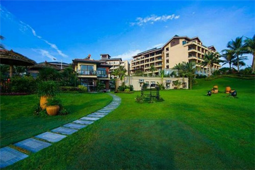 胶原蛋白粉哪些品牌比较好