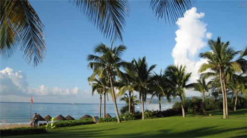 罗平好喝奶茶店