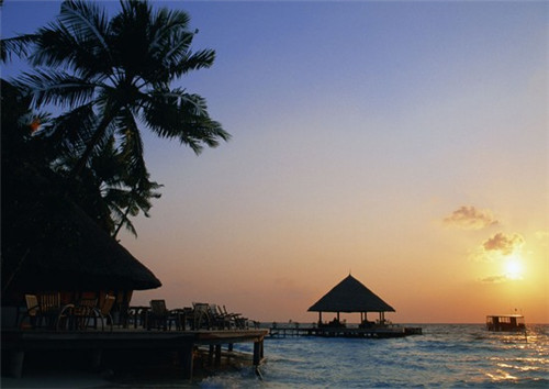 求婚大作战男主唱的什么歌（求婚大作战主题歌曲）