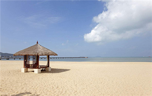 2025智能娃娃加盟店哪些项目比较火爆（智能娃娃图片大全）